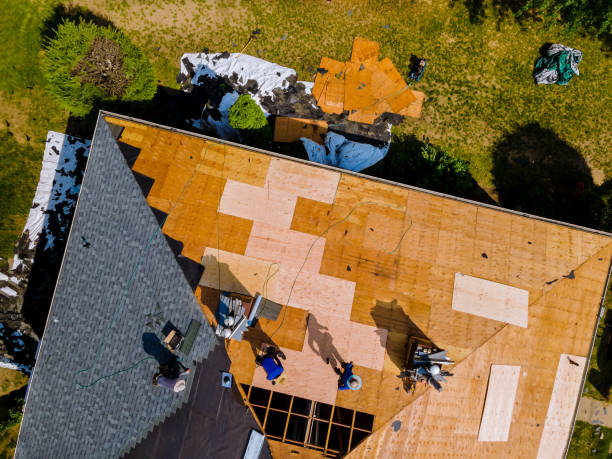 Best Roof Replacement Cost  in Paulden, AZ