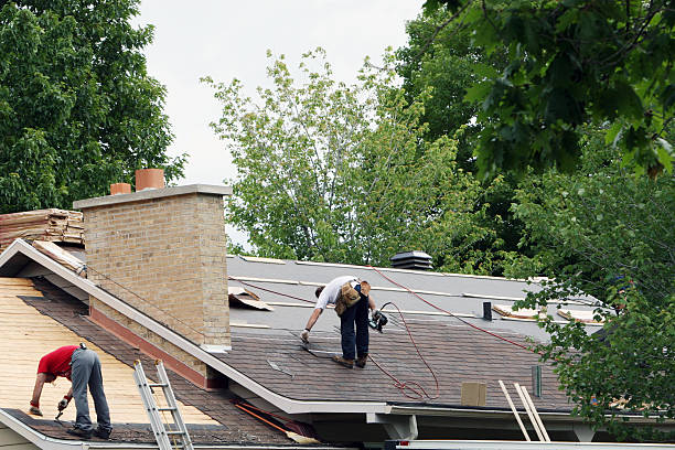 Best Roof Gutter Cleaning  in Paulden, AZ